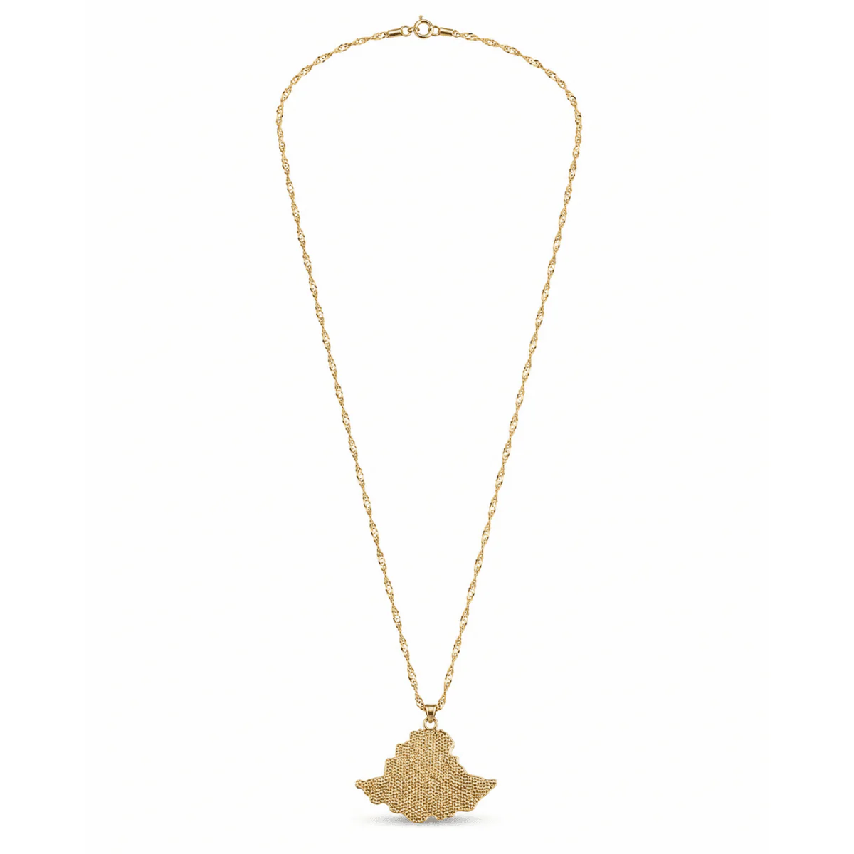 Dreamfix Ethiopia Pendant with Lion Emblem - Image 4